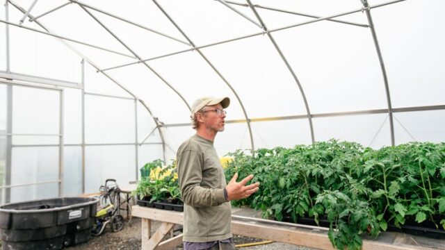 MaciekatMagicFarms